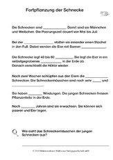 Fortpflanzung der Schnecken.pdf